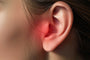 Human ear 